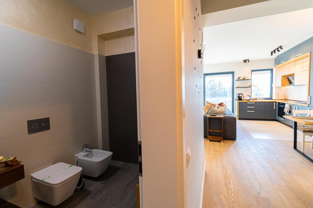 Mirador Bohemian Apt With Views Over Old Town And Tampa Mountain, Near Poiana Брашов Екстериор снимка